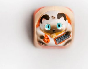 Triton Fnatic Aristan Loeya Keycaps (FG-KC-5056276024207) 2