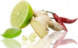 Gefu Tarka X-PLOSION 4