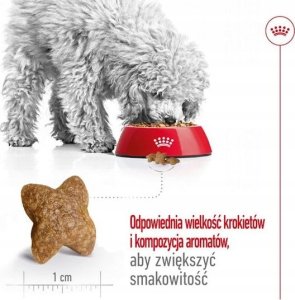 Royal ROYAL PIES 2kg MINI ADULT 27 5