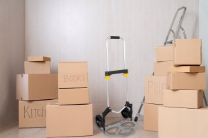 Gotel O5D WÓZEK TRANSPORTOWY MAGAZYNOWY 90 KG 11