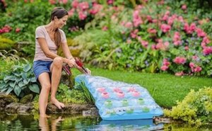 Kompresor samochodowy Einhell Einhell Cordless Air Pump CE-AP 18 Li-Solo, 18V (red/black, without battery and charger) 2