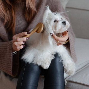 Dingo DINGO SZCZOTKA BAMBUSOWA OWALNA S         dł.17,3/szer. 8,8cm 2