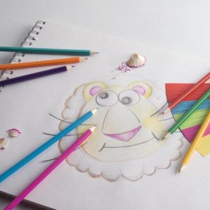 Topwrite Topwrite - Zestaw kredek ołówkowych dwustronnych 24 kolory/12 szt. 2