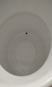 Riess - Kanka do mleka ceramiczna wąska 1l Classic BIAŁY 3