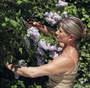 Sekator Felco nożycowy 4