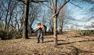 Metabo METABO. UNIVERSAL BATTERY DRIVE MA 36-18 LTX BL Q 4