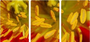 Apexel Mikroskop Cyfrowy 400-800x + Ekran LCD 2" / Filmy Zdjęcia HD 720p / MS008 8