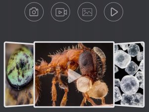 Apexel Mikroskop Cyfrowy 400-800x + Ekran LCD 2" / Filmy Zdjęcia HD 720p / MS008 9