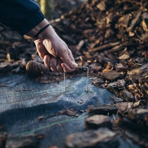 Bradas SZPILKA DO AGROTKANIN METALOWA 3cm x 15cm /100szt. 2