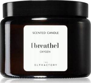 The Olphactory Aromatinė žvakė “Breathe“ (vandenyno kvapo), 360 g 1