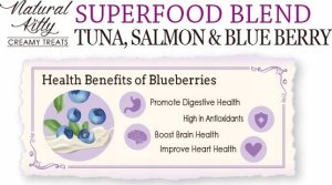 NATURAL KITTY KREM Z TUŃCZYKA, ŁOSOSIA    I BORÓWEK 4x12g   /12 4