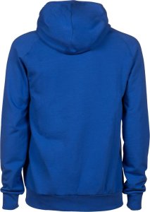 Arena Bluza z kapturem sportowa trening Sweat Panel r.L 12