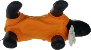 GRANDE Opatrunek, koszulka pooperacyjna pomarańczowa S 4