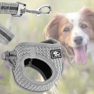 Springos Komplet szelki bezuciskowe dla psa, kota M 9-13 kg + smycz 150 cm szara UNIWERSALNY 12