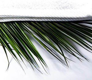 Yeye Ręcznik bawełniany na saunę 100% naturalna bawełna Yeye 50x100 450 Ecru 4