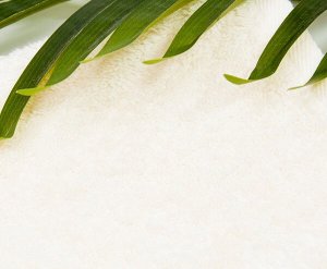 Yeye Ręcznik bawełniany na saunę 100% naturalna bawełna Yeye 50x100 450 Ecru 6