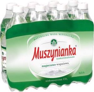 Woda Muszynianka Muszynianka plus Naturalna woda mineralna wysokozmineralizowana niskonasycona CO2 0,6 l x 8 sztuk 1