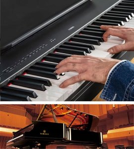 Yamaha Yamaha P-225B - Pianino cyfrowe 3