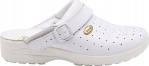 Mobilex Buty Clog Racy marki Scholl BIAŁY 37 2