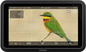Atomos Atomos Shinobi II 4