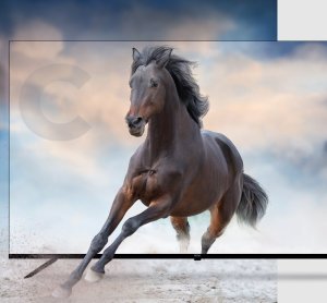 Telewizor Kivi 50U730QB LED 50'' 4K Ultra HD 9