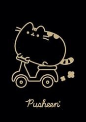 St. Majewski Zeszyt A5 60k krata laminowany Pusheen p10, mix cena za 1 szt 6