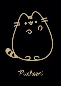 St. Majewski Zeszyt A5 60k krata laminowany Pusheen p10, mix cena za 1 szt 10