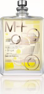 Alkotest ESCENTRIC MOLECULES Molecule 01 Ginger EDT spray 100ml 2