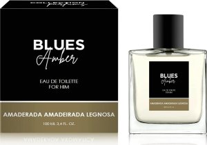 Alkotest MELODY Blues Amber Men EDT spray 100ml 1