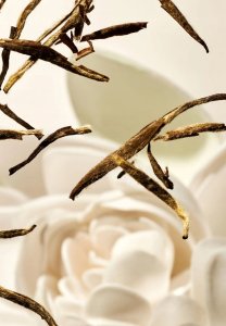 Alkotest RITUALS_The Ritual of Karma Hair &amp; Body Mist mgiełka do ciała i włosów 50ml 7