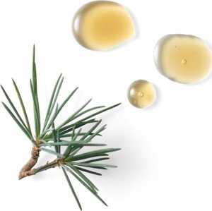 Alkotest RITUALS_Homme 24h Anti-Perspirant antyperspirant w sztywcie 75ml 4