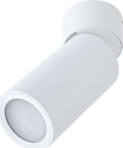 Lampa sufitowa Paulmann Lampa sufitowa TURNAL COIN LED 3-STEP DIM 6W 470lm 2700K 230V biała matowy 2