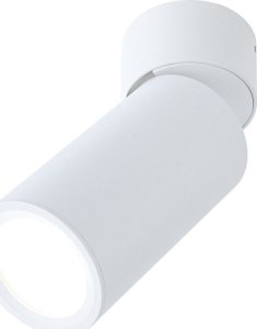 Lampa sufitowa Paulmann Lampa sufitowa TURNAL COIN LED 3-STEP DIM 6W 470lm 2700K 230V biała matowy 5