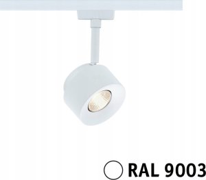 Paulmann Reflektor na szynoprzewód URail PANE LED DIM 7W 650lm 3000K 230V biały RAL9003 / metal 1