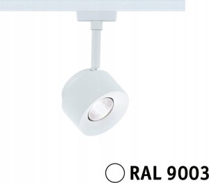 Paulmann Reflektor na szynoprzewód URail PANE LED DIM 7,4W 680lm 4000K 230V biały RAL9003 / metal 1