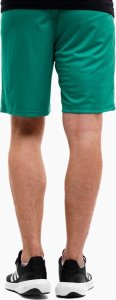 Puma Spodenki męskie Puma teamLIGA zielone 704924 05 2XL 2
