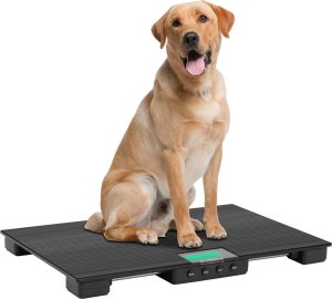 Steinberg Waga platformowa weterynaryjna dla zwierząt 63 x 40 cm 30 kg / 10 g Waga platformowa weterynaryjna dla zwierząt 63 x 40 cm 30 kg / 10 g 4