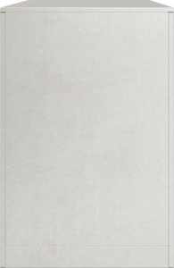 vidaXL Stojak na drewno opałowe, 100x40x60 cm, stal nierdzewna 5