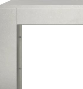 vidaXL Stojak na drewno opałowe, 100x40x60 cm, stal nierdzewna 7