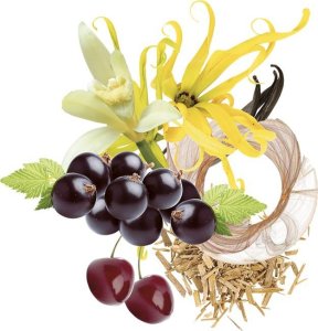 Trussardi Perfumy Damskie Trussardi EDP Ruby Red 30 ml 7