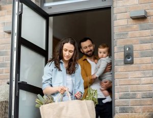 2N ENTRY PANEL IP ONE/BRONZE 9158105 2N 4