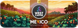 Kawa ziarnista West Caffee Mexico Estado de Chiapas Intesita Altura 8