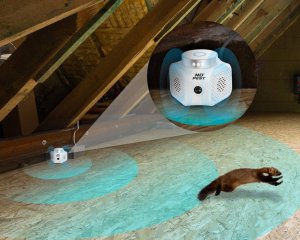 NO PEST Ultradźwiękowy Odstraszacz Myszy Szczurów Quattro Pro Odstraszacz na Myszy Szczury Gryzonie 5