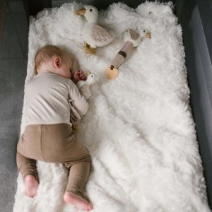 BabyOno 1556 PRZYTULANKA KOCYK GOOSE ZOE 3