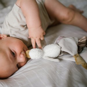 BabyOno 1556 PRZYTULANKA KOCYK GOOSE ZOE 4