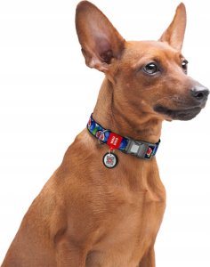 Collar WAU DOG OBROŻA NYLON Z ADRESÓWKĄ QR       15mm/25-35cm FIGA 4