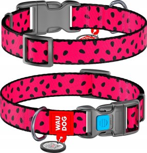 Collar WAU DOG OBROŻA NYLON Z ADRESÓWKĄ QR       25mm/33-49cm ARBUZ 1