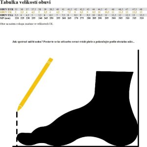 Buty trekkingowe damskie Aku W'S ROCK DFS GTX, jade, 40 7