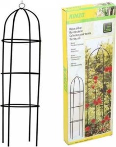 Kinzo KOLUMNA PREGOLA NA RÓŻE KINZO 3