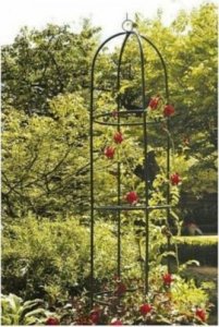 Kinzo KOLUMNA PREGOLA NA RÓŻE KINZO 6